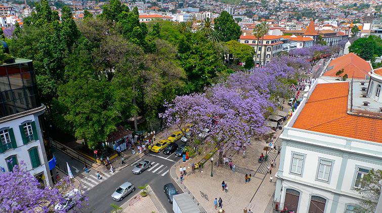 Hotel Do Centro Funchal (Madeira) Exterior foto